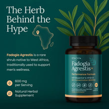 Organic Fadogia Agrestis 600mg for Natural Test Support - Vegan America