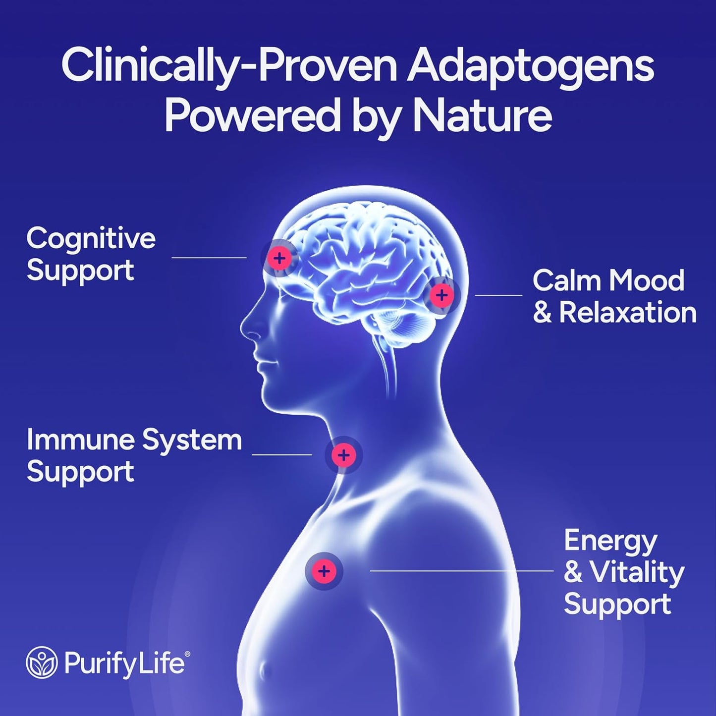 Sugar - Free Mushroom Gummies - 10 Mushroom Complex - Vegan America