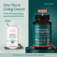 USDA Organic Lions Mane Supplement Capsules with Ashwagandha, Chaga, Reishi, Cordyceps, Turkey Tail - Vegan America