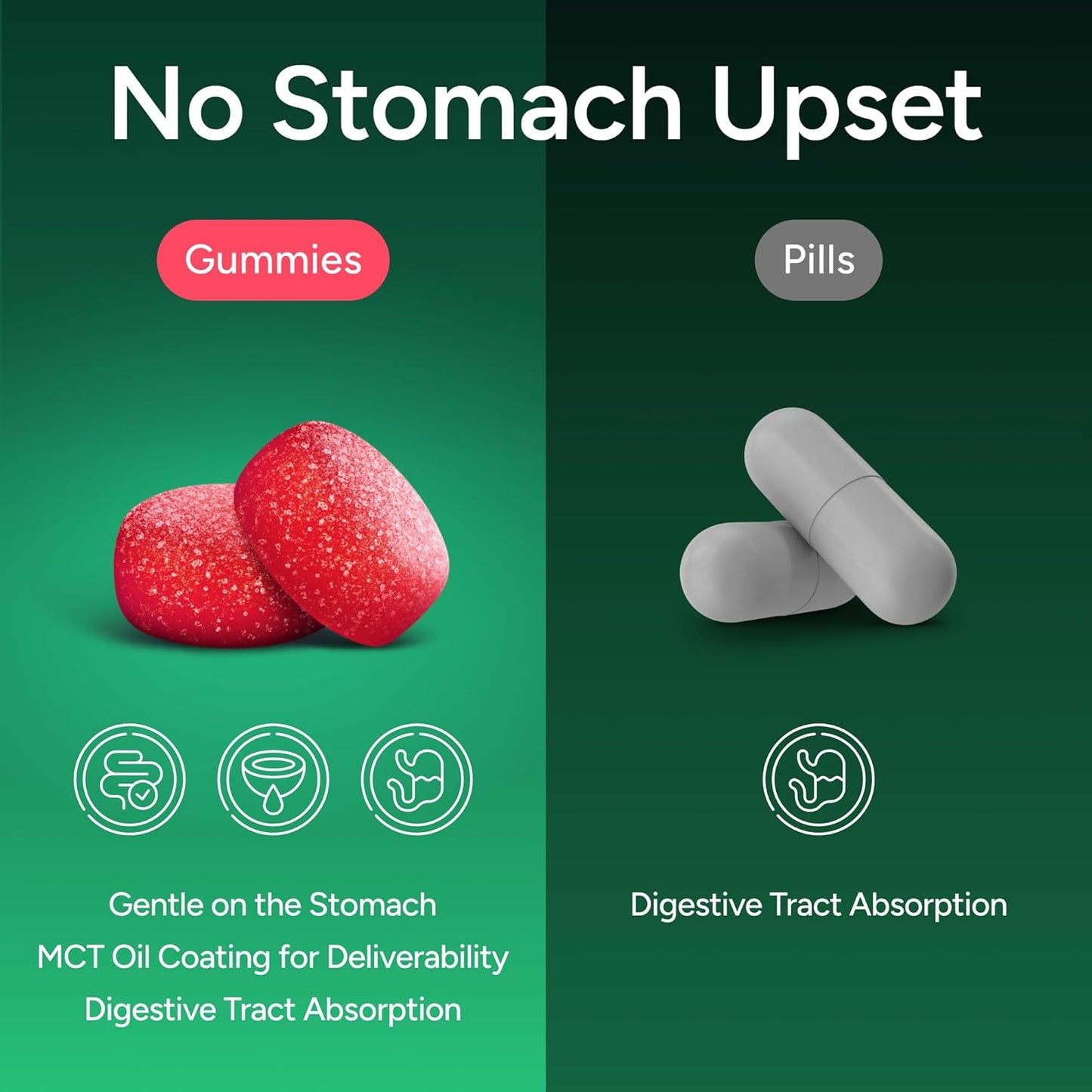 Natural GLP1 Support - Berberine Sugar - Free Gummies - Vegan America