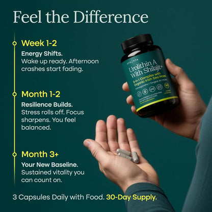 Urolithin-A Complex w Shilajit, Organic Sea Moss, Ashwagandha & Tongkat Ali, Natural Energy, Libido, Hormone Balance, and Focus for Men & Women (Made in USA - 3rd Party Tested
