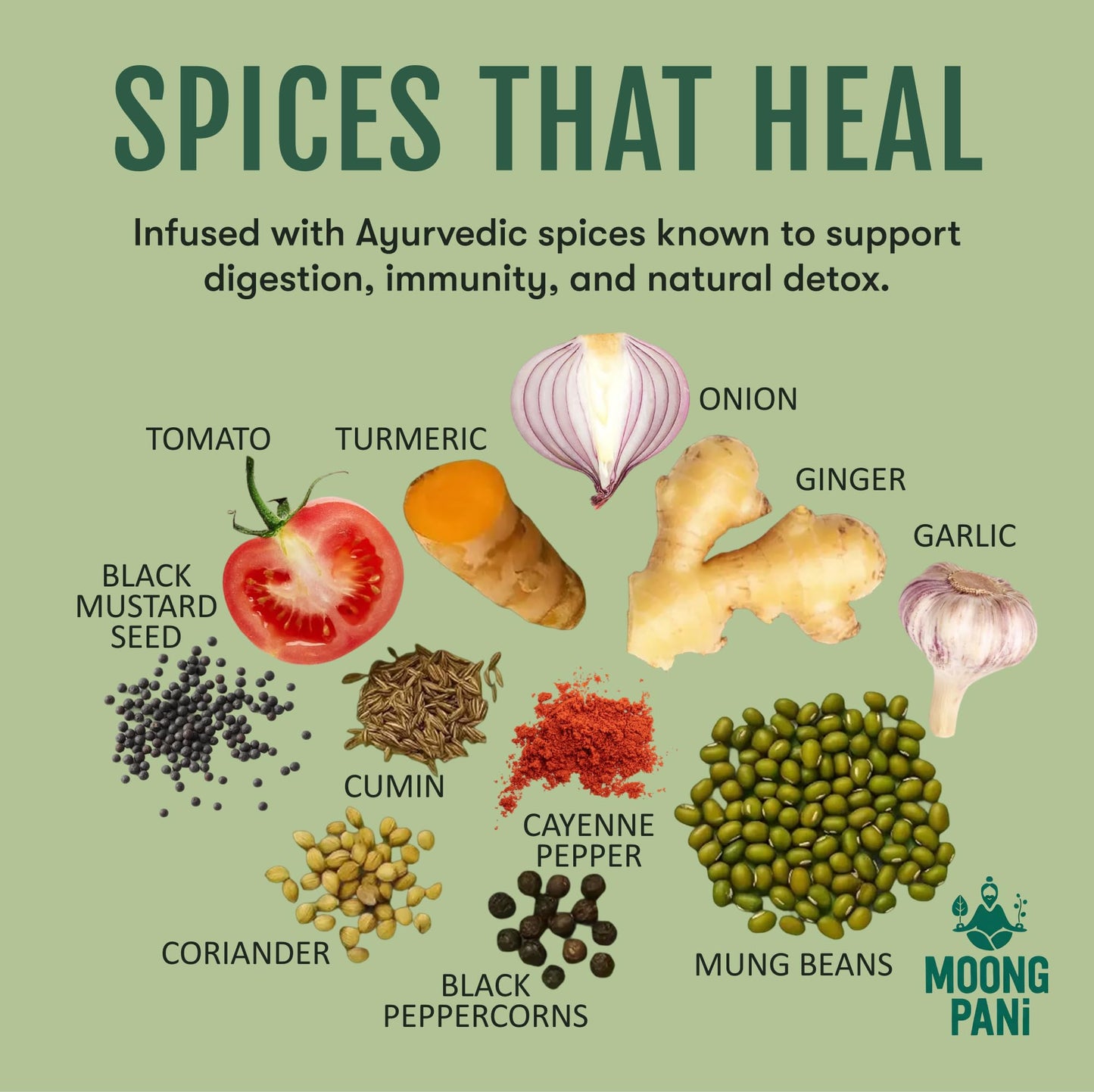 Sprouted Mung Dal Stew: Zesty Ginger & Turmeric | 3+ Servings - Vegan America