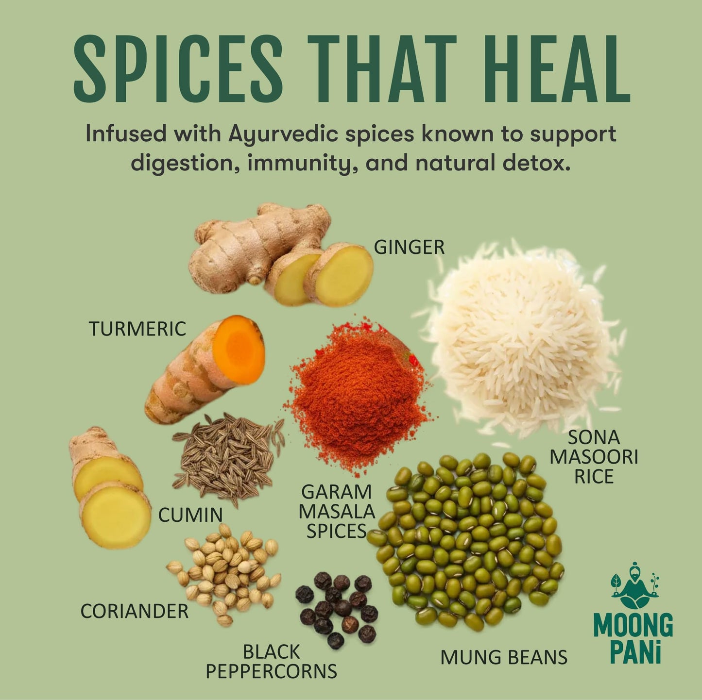 Spicy Sprouted Mung Khichari: Ginger, Garlic & Turmeric | 3 Servings - Vegan America