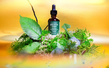 BREATHE EASY | Mullein & Stinging Nettle herbal tincture with organic & wildcrafted ingredients - Vegan America