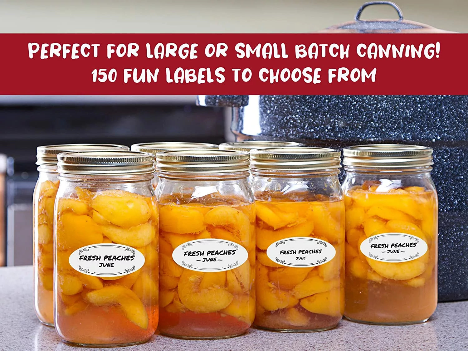 81M6o8Kp6dL. AC SL1500 