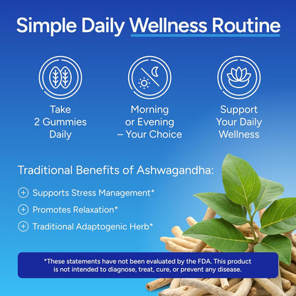 Ashwagandha Gummies for Anxiety & Stress Relief - Vegan Mood Support for Men & Women 90ct - Vegan America