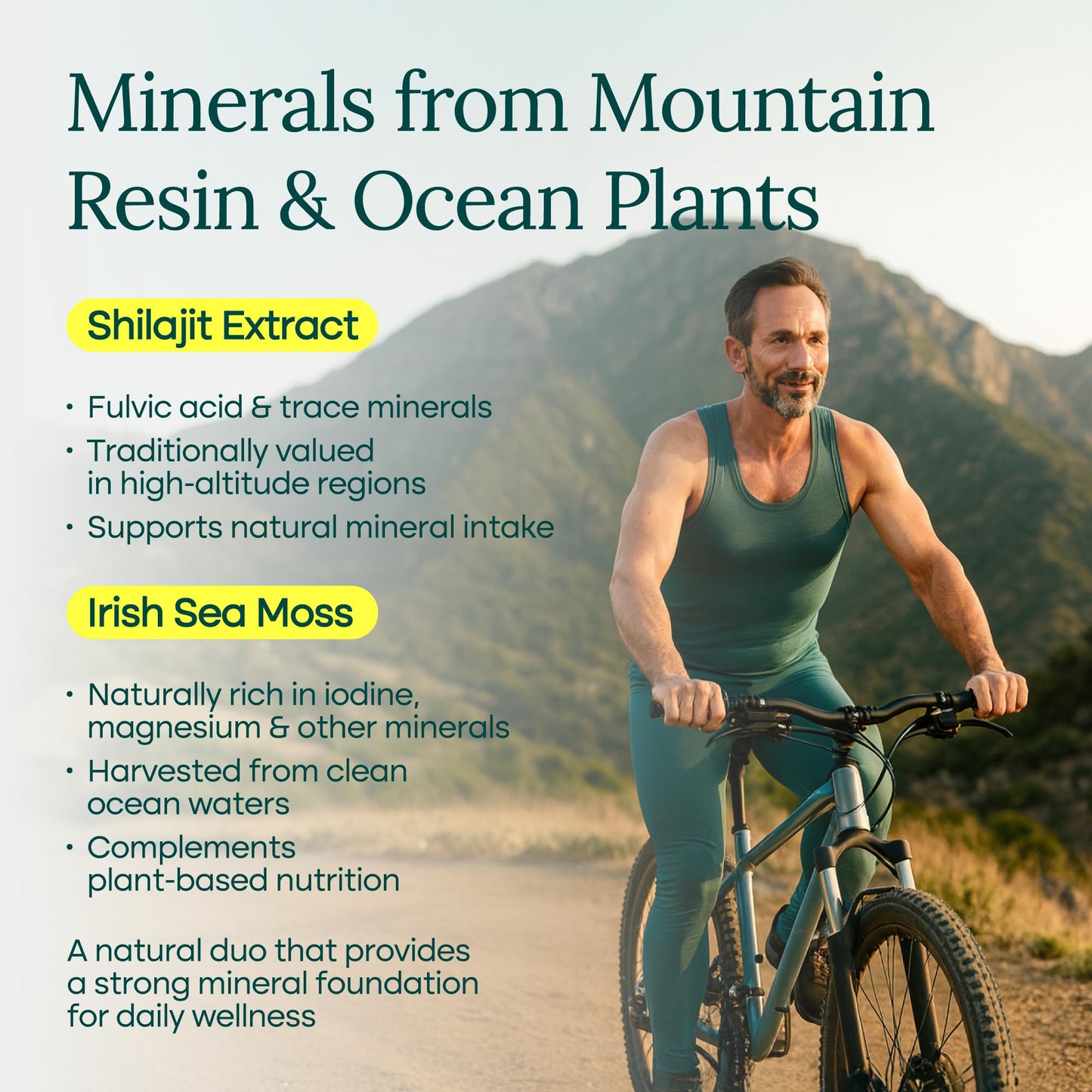 Urolithin - A Complex w Shilajit, Organic Sea Moss, Ashwagandha & Tongkat Ali - Vegan America