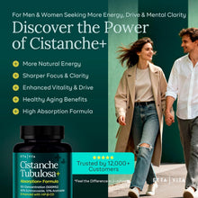 Potent Cistanche Tubulosa Capsules (500 mg) Stress Response, Mood & Cortisol Support (2x Potent 50% Echinacoside/10% Acetoside) Hormonal Balance for Men & Women - Cistanche Supplement, Powder Extract