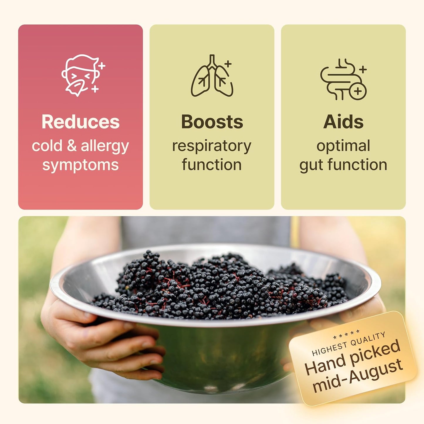 Wildcrafted Dried Elderberries - Bulk Supply - 1lb - Natural High Quality Ingredients