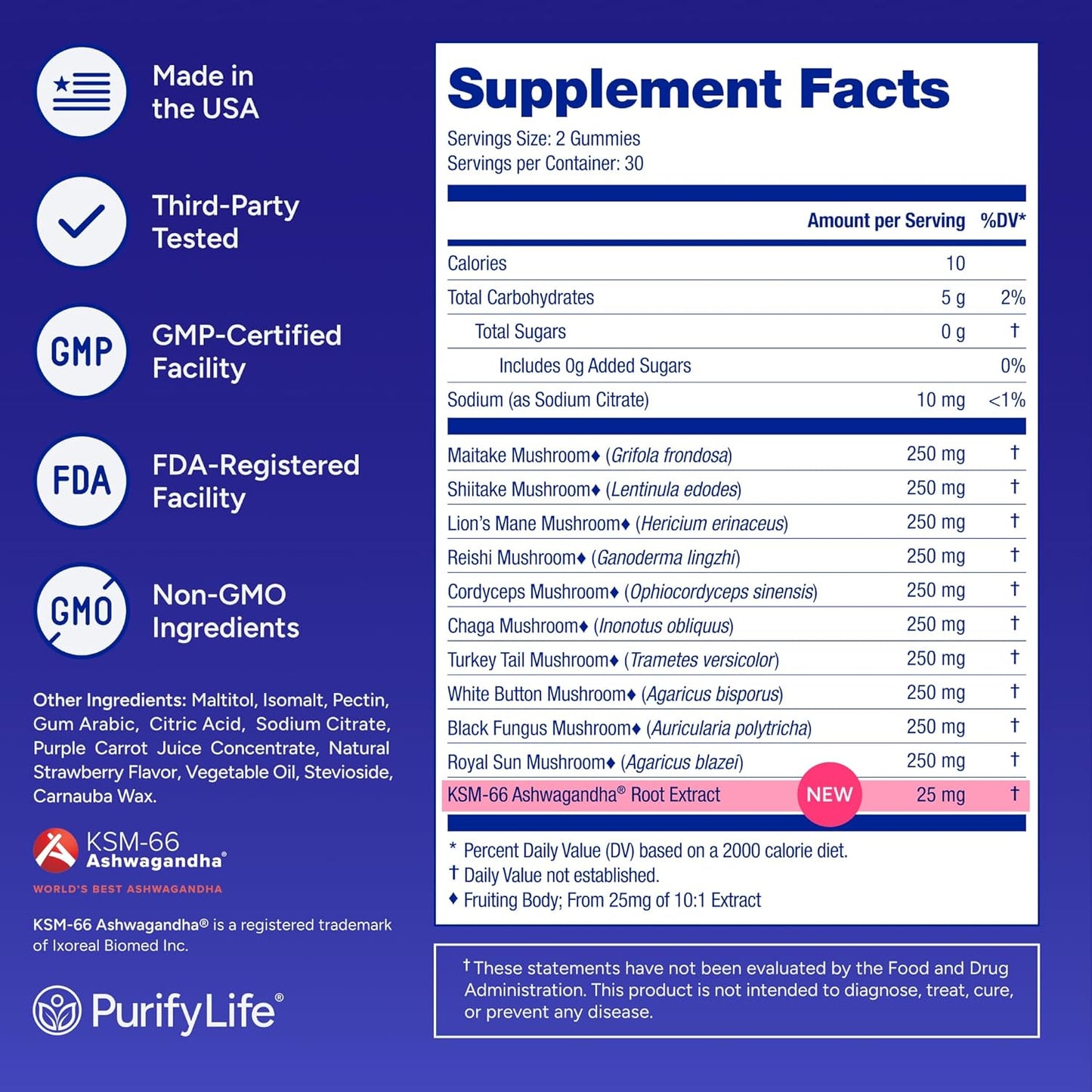 Sugar - Free Mushroom Gummies - 10 Mushroom Complex - Vegan America