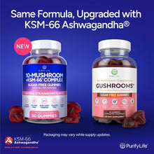 Sugar-Free Mushroom Gummies with KSM 66 Ashwagandha, Natural Stress Support - Vegan America