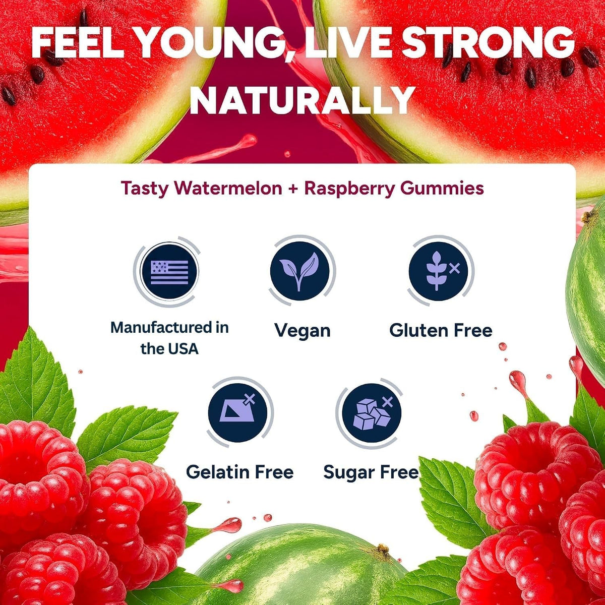 Sugar-Free Resveratrol Gummies, Antioxidant Support Supplement, 60 ct