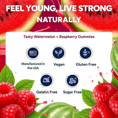 Sugar-Free Resveratrol Gummies, Antioxidant Support Supplement, 60 ct