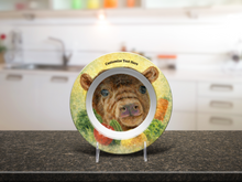 Personalized Plate & Bowl with Cow & Garden Veggies – Whimsical Tableware for Everyone