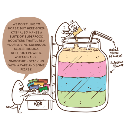 KOS Organic Plant Protein, Chocolate, 15 Servings