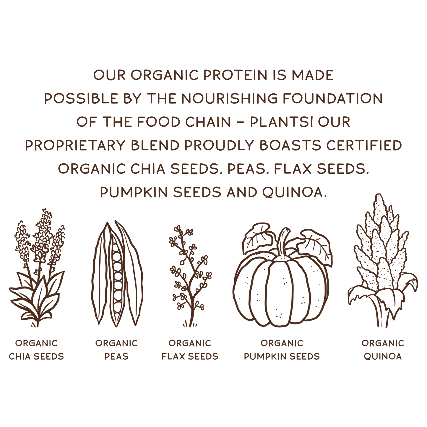 KOS Organic Plant Protein, Chocolate, 15 Servings