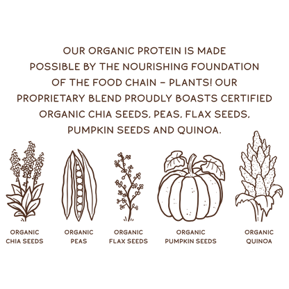 KOS Organic Plant Protein, Chocolate, 15 Servings