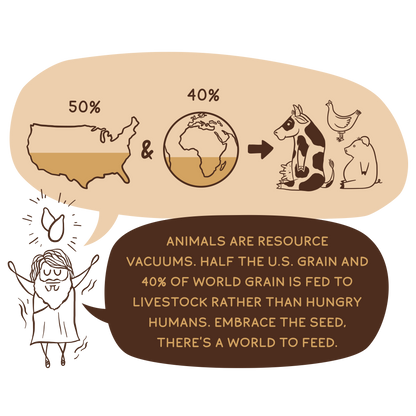 Organic Plant Protein, Chocolate Peanut Butter, 28 Servings