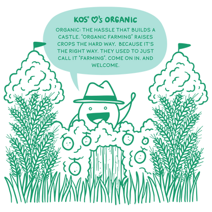 Organic Plant Protein, Unflavored & Unsweetened, 28 Servings