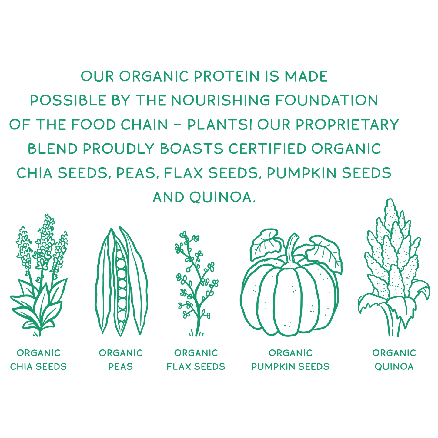 Organic Plant Protein, Unflavored & Unsweetened, 28 Servings