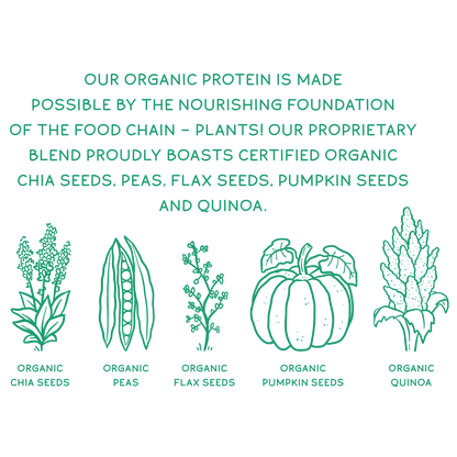 Organic Plant Protein, Unflavored & Unsweetened, 28 Servings