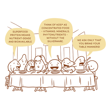 KOS Organic Plant Protein, Vanilla, 10 Servings