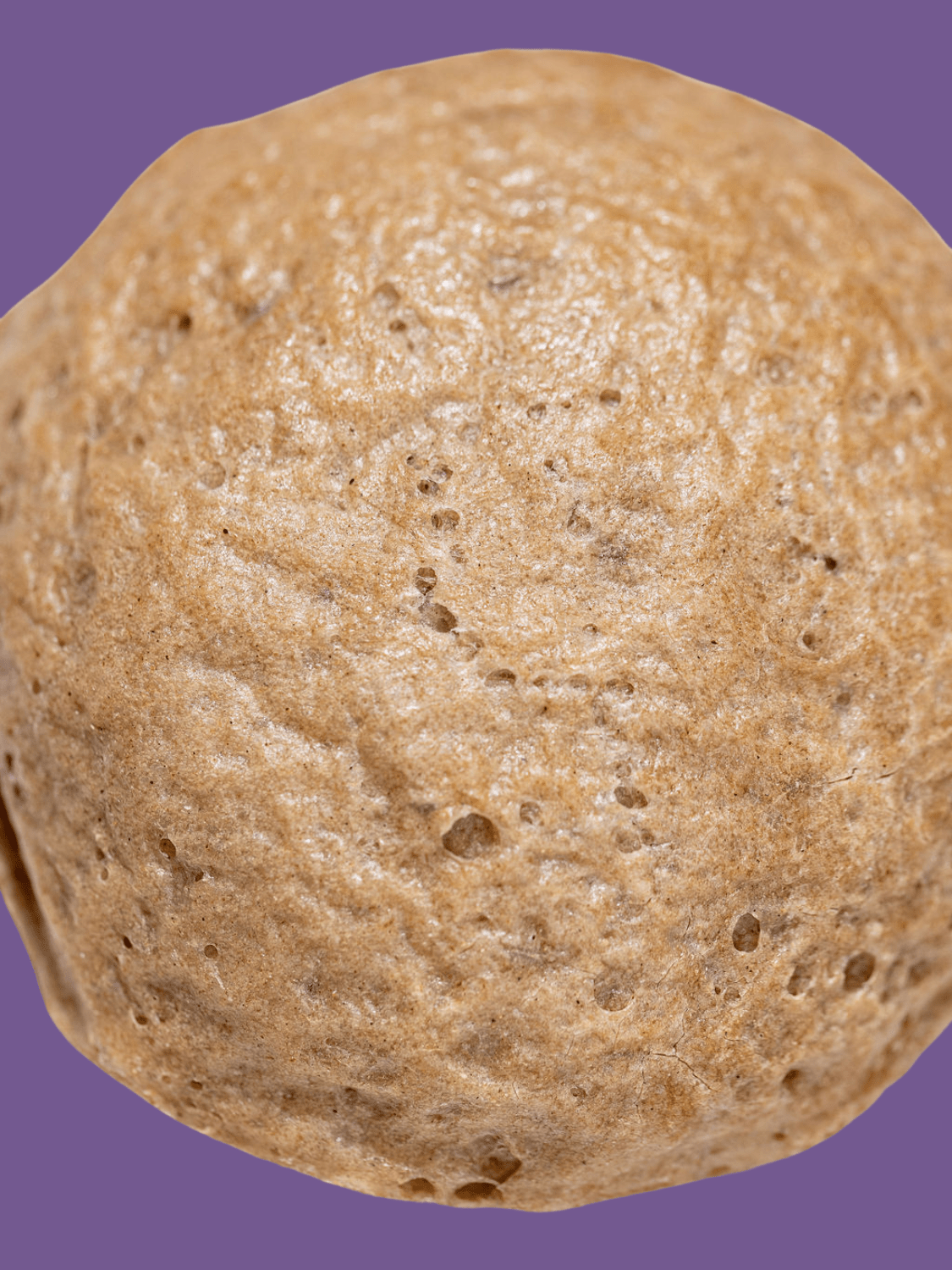 Gluten-Free Sourdough Sandwich Rolls - 12 Count (Gum-Free, Rice-Free) - Vegan America