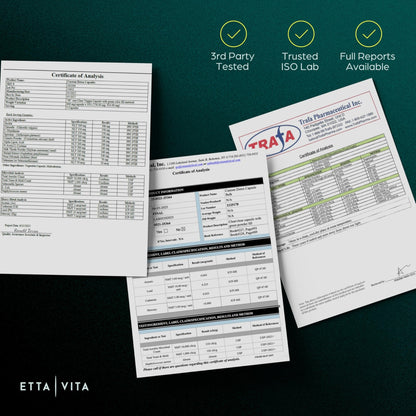 Liver Cleanse Detox & Repair - Zeolite Detox Supplement for Gut Health, Cognition & Natural Energy - Vegan America