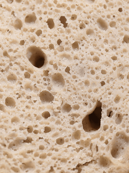 Gluten-Free Sourdough Sandwich Rolls - 12 Count (Gum-Free, Rice-Free) - Vegan America