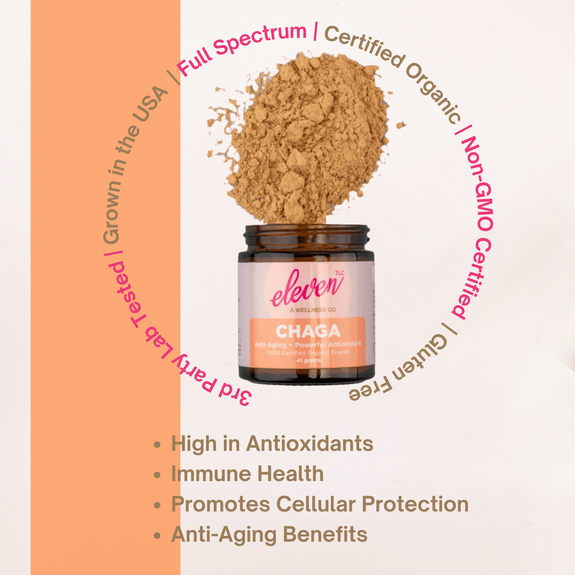 Organic Mushroom Powder Bundle | Chaga, Reishi, Cordyceps, & Lion's Mane Superfoods - Vegan America