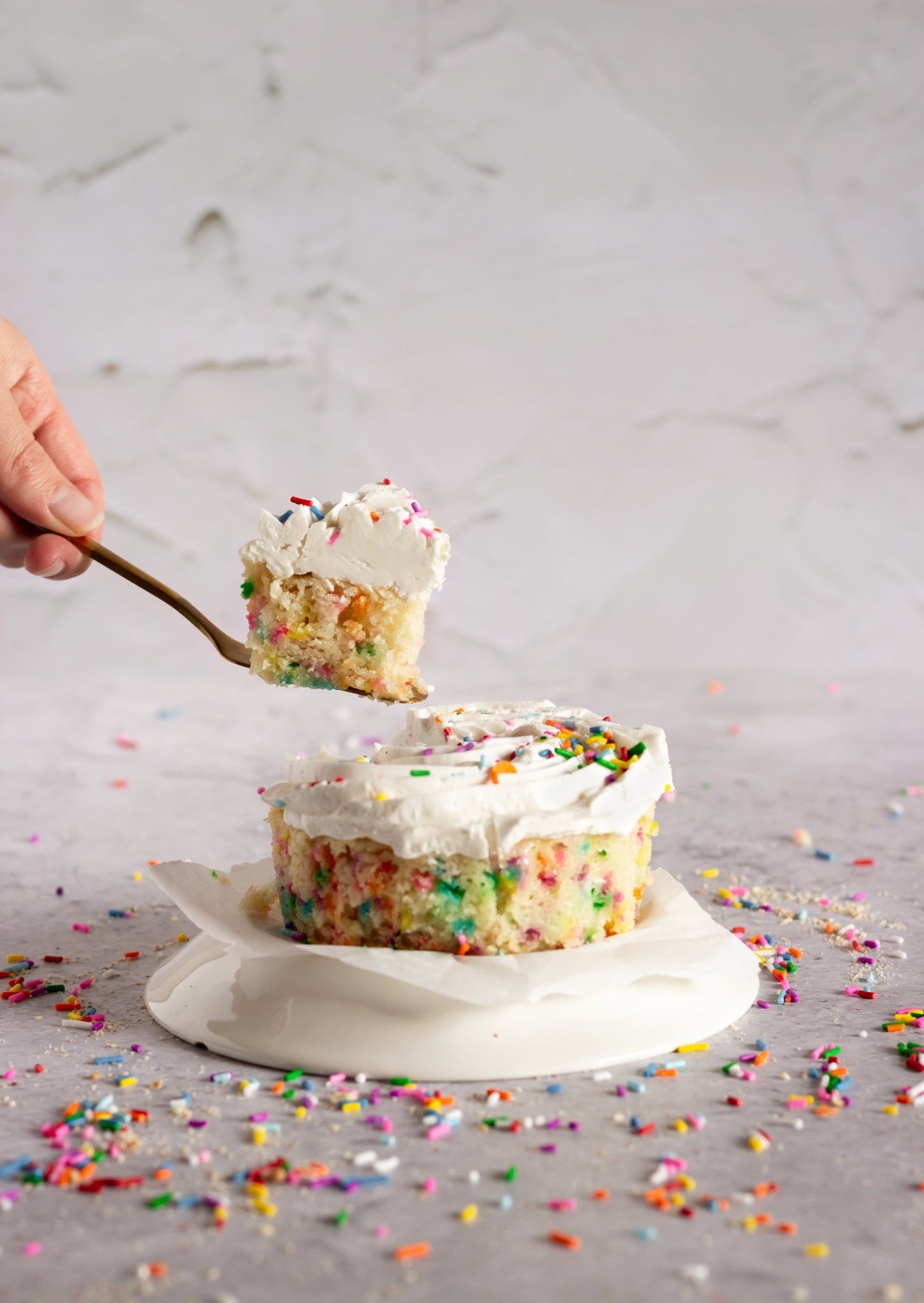 Personal Funfetti Cake - Vegan America