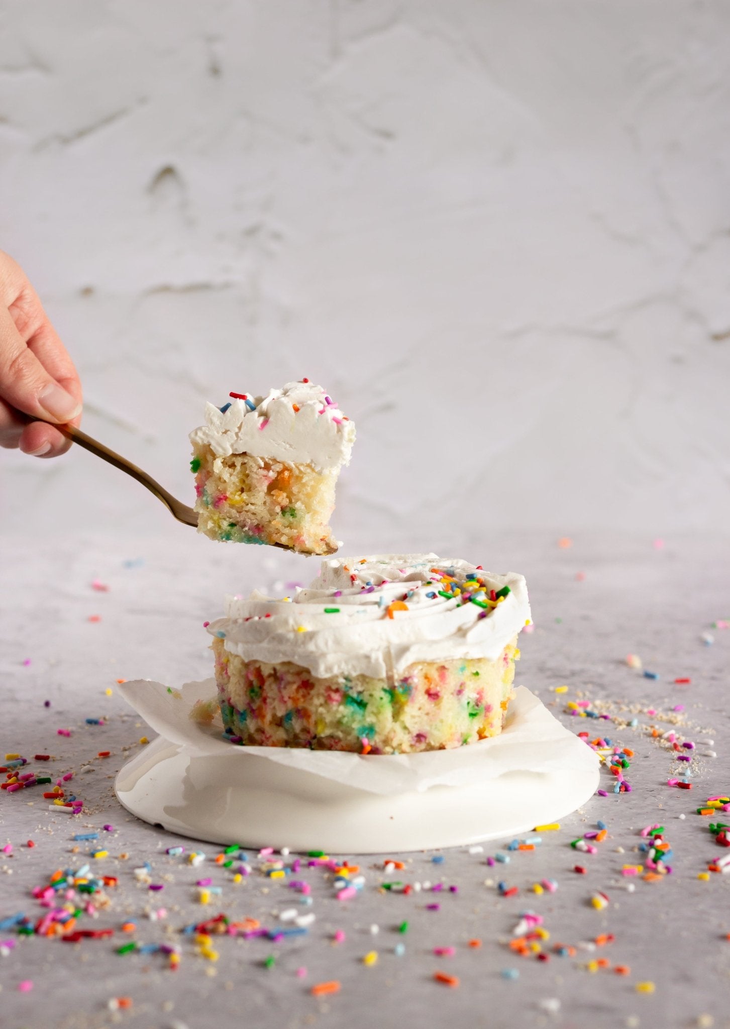 Personal Funfetti Cake - Vegan America