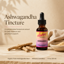 Ashwagandha Tincture | Stress & Cortisol Support | 1 oz