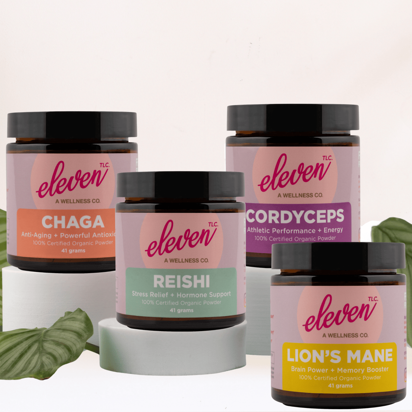 Lion's Mane Organic Mushroom Superfood Powder: The Brain Mushroom Powder - Vegan America