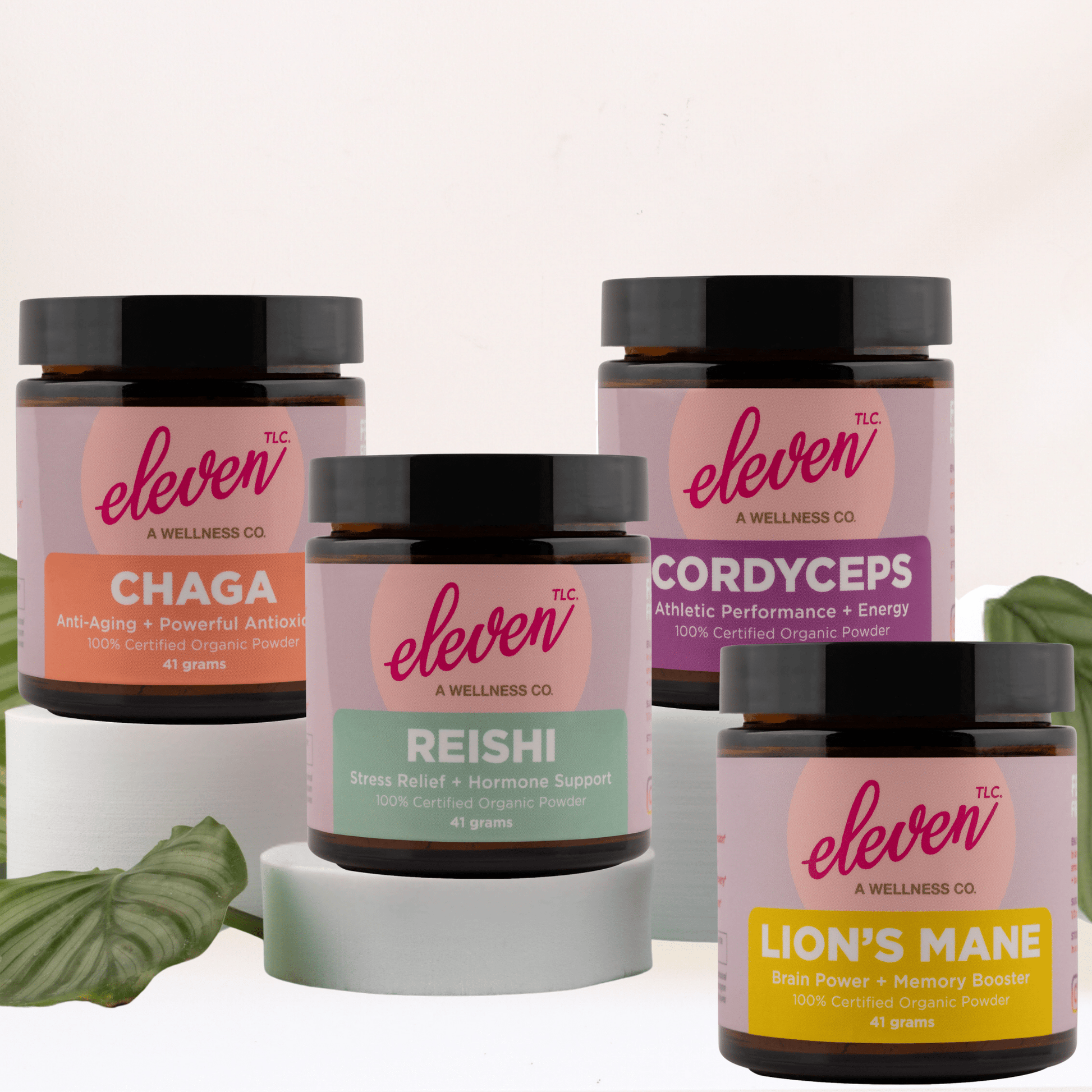 Organic Reishi Mushroom Powder - Vegan America