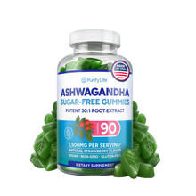 Ashwagandha Gummies for Anxiety & Stress Relief - Vegan Mood Support for Men & Women 90ct - Vegan America