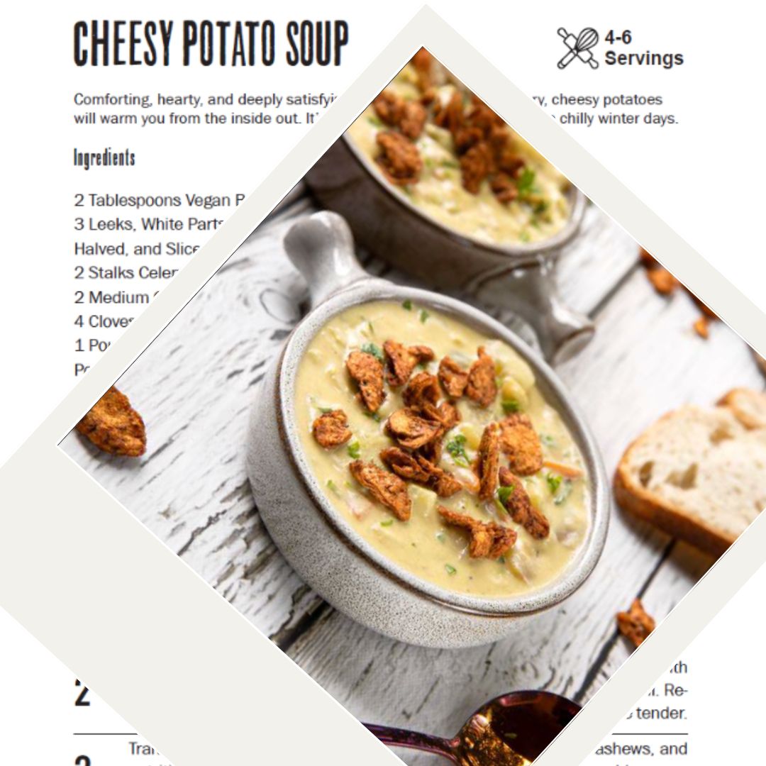 All Y’alls Cookbook & Proteins - Vegan America