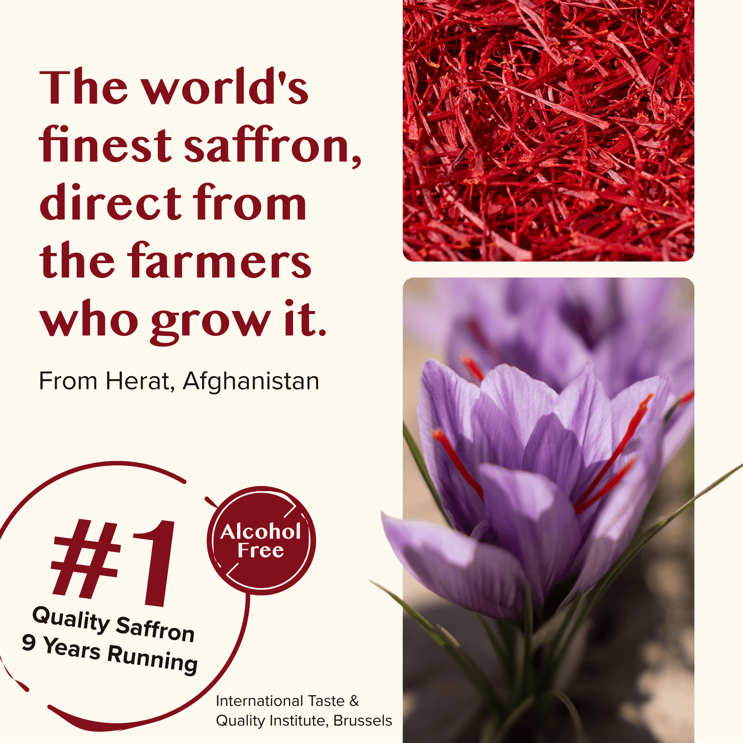 Premium Saffron Extract Liquid Drops (Made With Pure Threads) Alcohol-Free - Vegan America