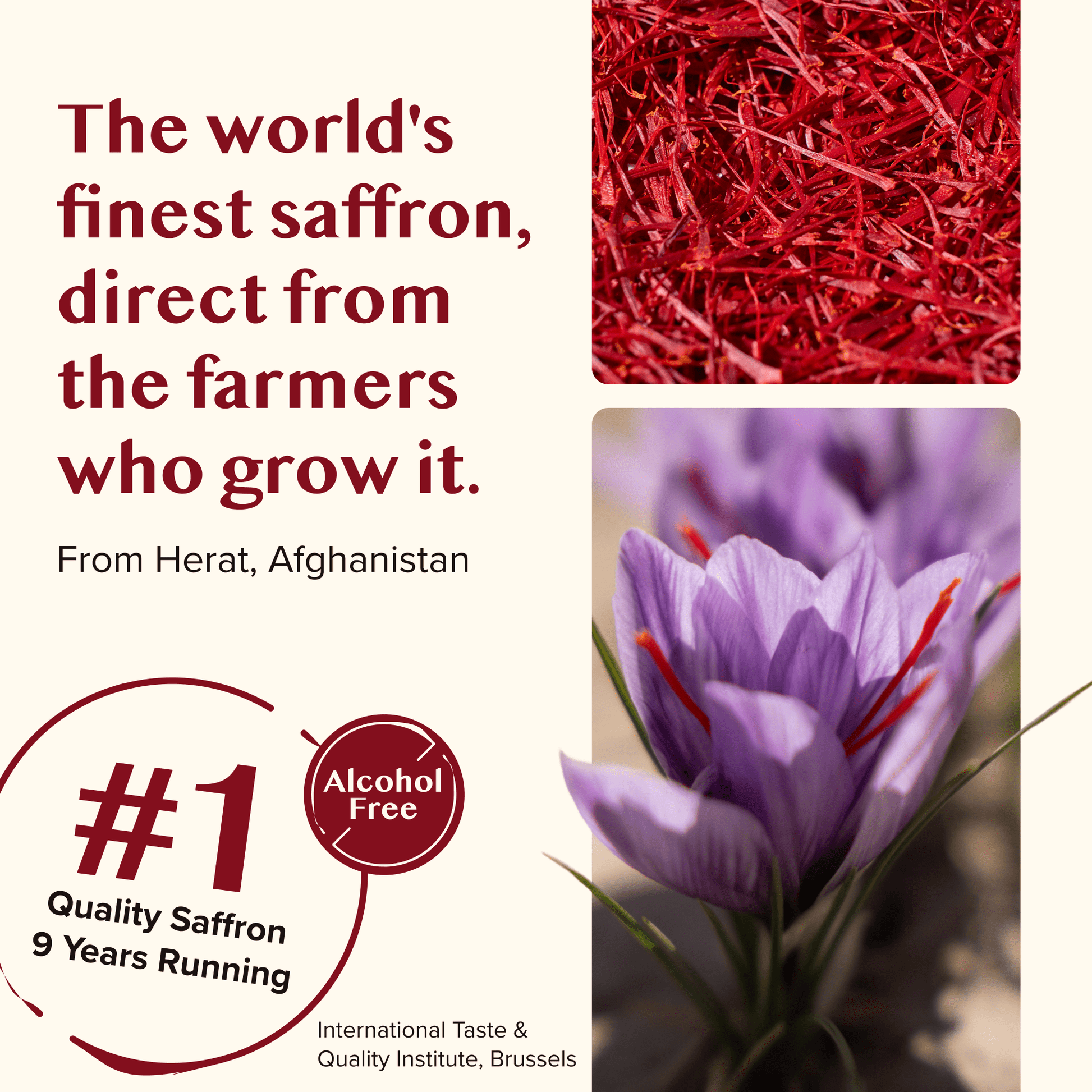 Premium Saffron Extract Liquid Drops (Made With Pure Threads) Alcohol-Free - Vegan America