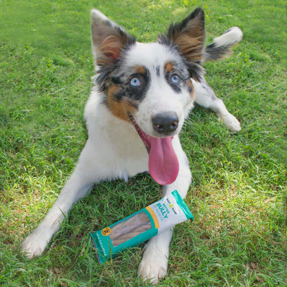 Better Bully Chews 2ct Small