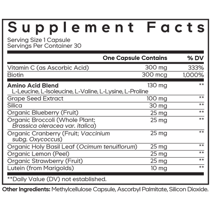 Amen Vegan Collagen Builder +