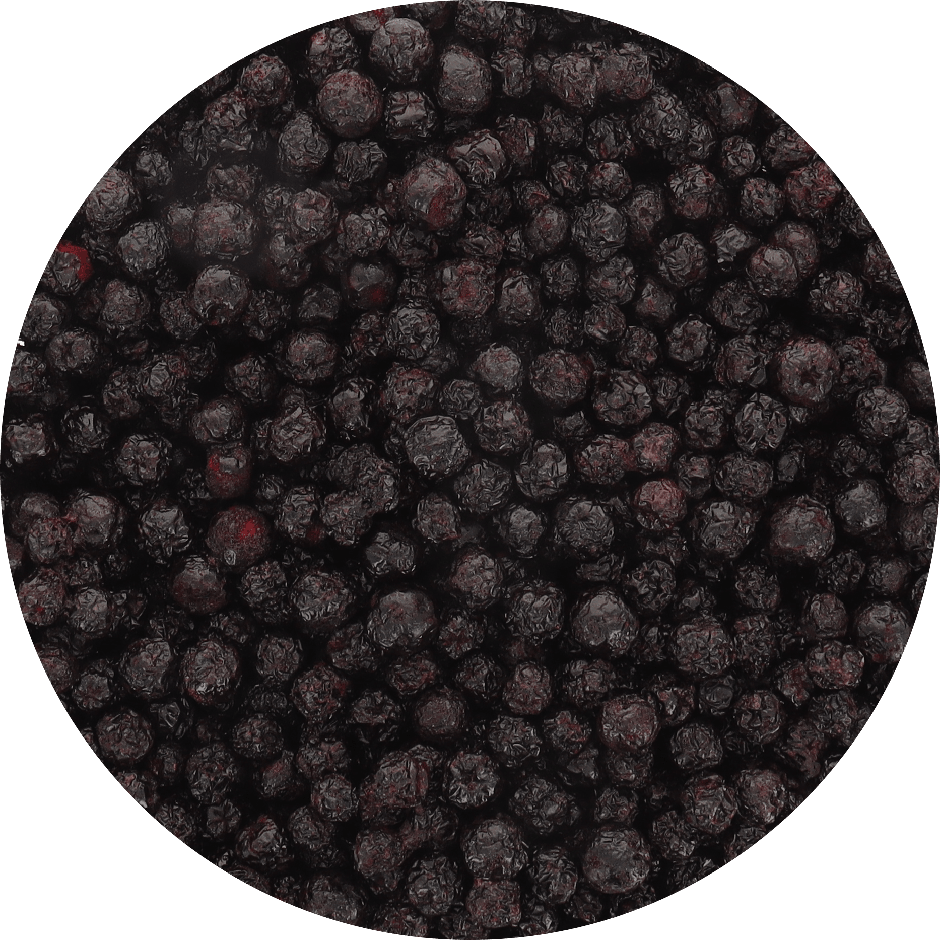 Freeze Dried Organic Aronia Berries - Vegan America