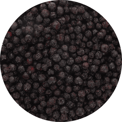 Freeze Dried Organic Aronia Berries - Vegan America