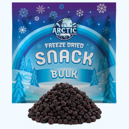 Freeze Dried Organic Aronia Berries - Vegan America