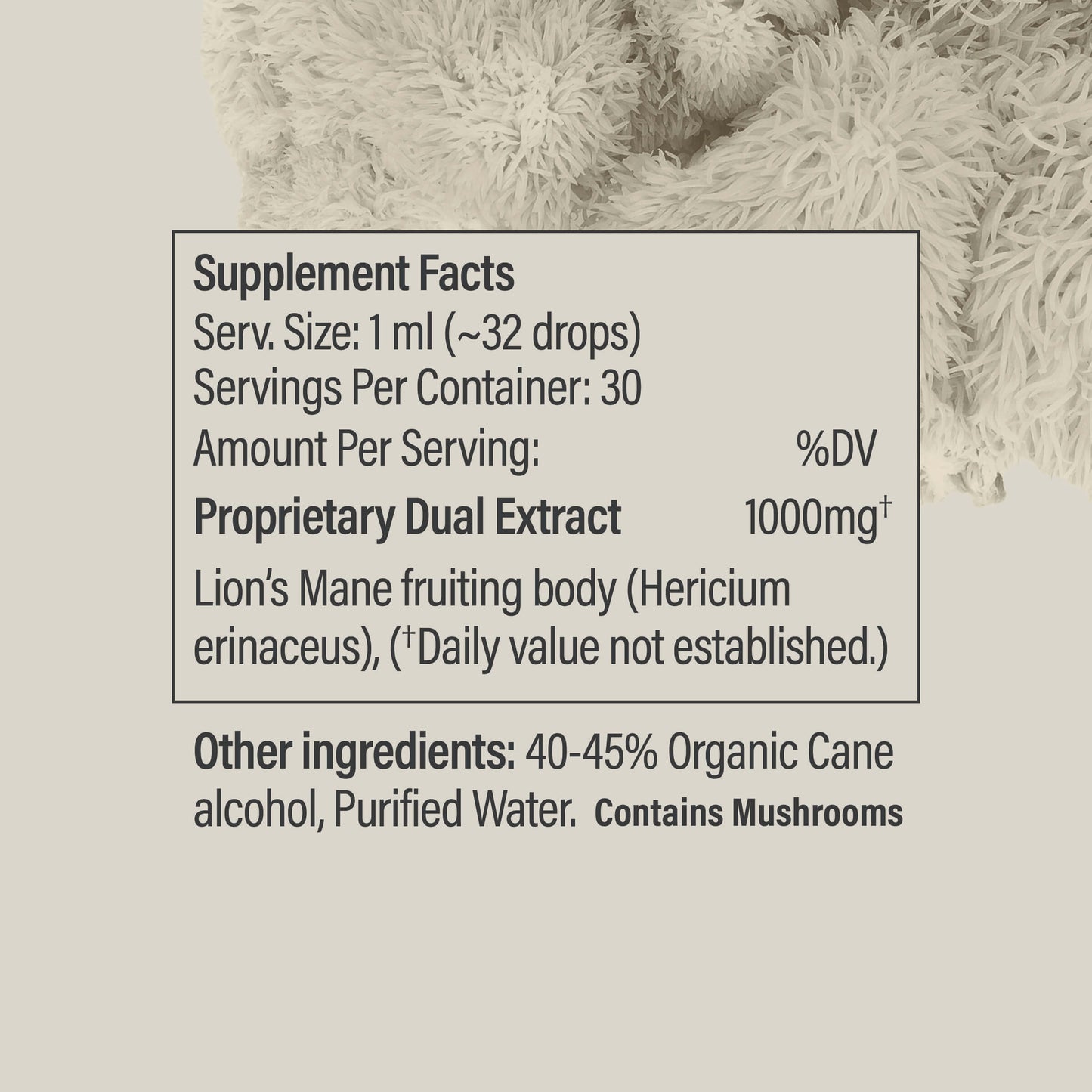 Lion’s Mane Tincture