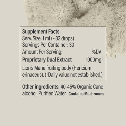 Lion’s Mane Tincture