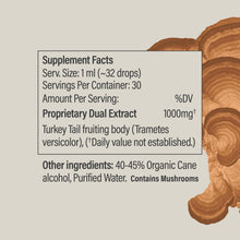 Turkey Tail Tincture