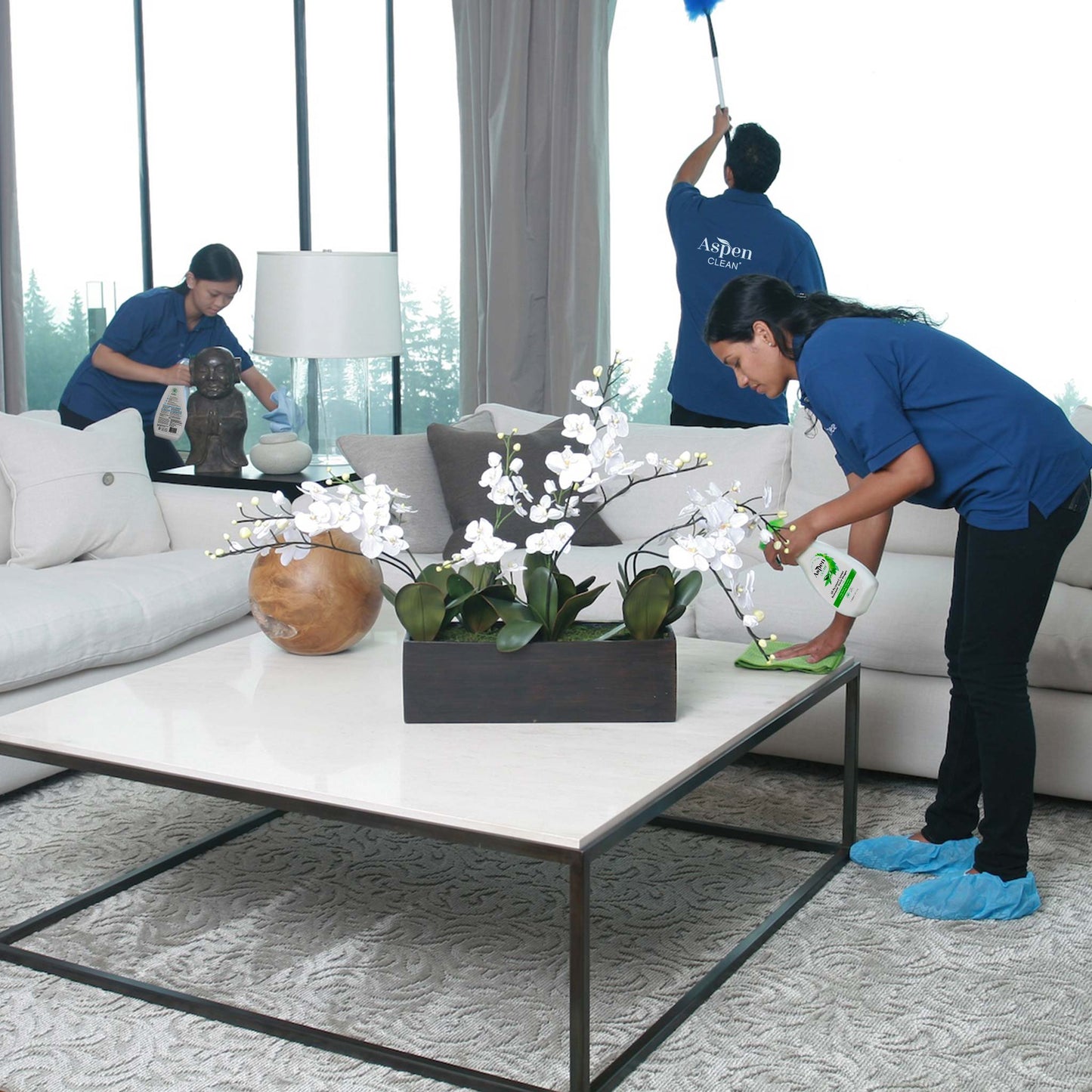 AspenClean Whole House Cleaning Kit with Floor Cleaner