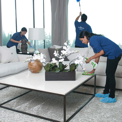 AspenClean Whole House Cleaning Kit with Floor Cleaner