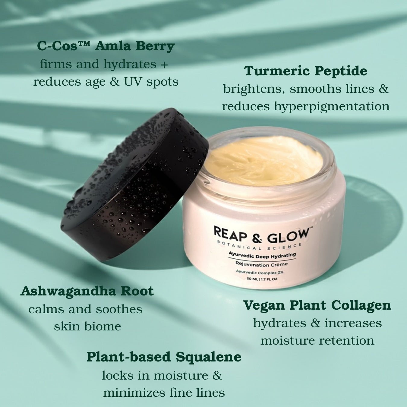 Ayurvedic Deep Hydrating Rejuvenation Crème - Vegan America